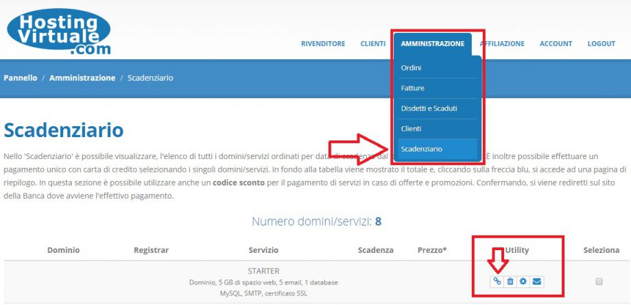 pannello clienti gestione dns